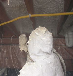 Tampa FL crawl space insulation